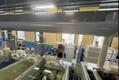 產業快訊 百宏集團BOPET新線投產，光莆股份5G柔性材料項目試產